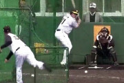 【動画】阪神新外国人ボーアの飛距離ｗｗｗｗｗｗｗｗ