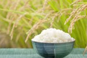 【悲報】お米の価格、5キロ4000円で落ち着いてしまうｗｗｗ
