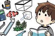 嫁とアクアリウム一緒にしたいんだが上手くいかない