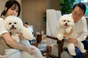 韓国大統領夫人「犬を食べる国は韓国と中国だけ」犬食中止を訴える
