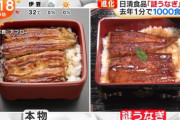 【速報】日清が商品化した「謎うなぎ」、想像よりすごい
