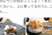 【悲報】うに　寿司で1番嫌われてたｗｗｗｗｗｗｗｗｗｗｗｗｗｗｗｗｗｗ