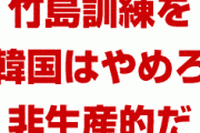 米国政府「韓国は竹島軍事演習をやめろ。非生産的だ」　どうすんのこれ…