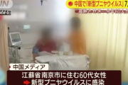 中国で「新型ブニヤウイルス」 7人死亡…60人が感染
