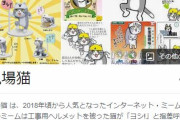 「現場猫」を使う工事現場が発見されるｗｗｗ