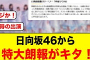 この案件はデカすぎる！おひさま熱狂の特大朗報がキタ【日向坂46】
