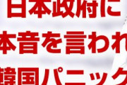 日本政府が韓国に本音を言ってしまう！　「韓国外相はお飾りだ」　⇒　韓国ネットユーザーも称賛の嵐！　どうすんのこれ…