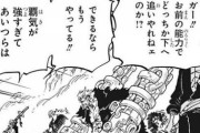 【唖然】ワンピース、もう実とかどうでも良くなる！時代は覇気一強時代へｗｗｗ