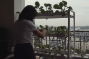 17歳の少女がサスティナブルな都市農業をベランダで実践中！（シンガポール）