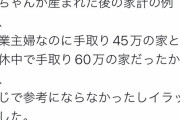 【悲報】ゼクシィBaby「赤ちゃんが産まれた後の手取り？これぐらいやろw」→炎上ｗｗｗ