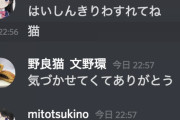配信切り忘れた文野環、乱入する月野美兎、さらに暴れる文野環【にじさんじ】