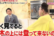 有吉「ゾンビからの安全地帯は木の上。登ってるの見たことない」　マツコ「海の上も安全よォ！」