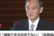菅首相｢今のような厳しい状況では解散できない｣　毎日新聞の報道を否定
