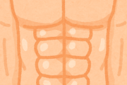 【筋トレ】お前らなんで腹筋割らないの？