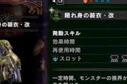 【MHWI】装衣の表示をオフにする機能を実装してほしい【アイスボーン】