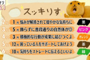 【乃木坂46】超朗報！！！可愛すぎるw『スッキりす』3人目に選ばれたのはこのメンバーだった！！！ｷﾀ━━━━(ﾟ∀ﾟ)━━━━！！！