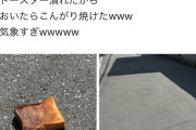 【悲報】X民「外にパンおいたらこんがり焼けたｗ異常気象すぎｗ」ﾊﾟｼｬ