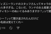【画像】ディズニーランドのキャストさん、キャラクター名を全然覚えてなくて炎上ｗｗｗ