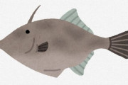 カワハギとかいう神の魚