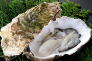 【疑問】「生牡蠣」を好き好んで食べる人間の正体ｗｗｗｗｗ