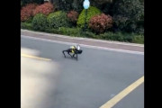 中国、ロボットがロックダウン見回り中