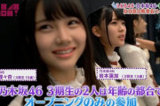 【乃木坂46】未来のダブルエースを期待されていたのに...(画像あり)