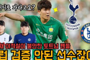 【速報】サッカー韓国代表キムミンジェ、冬にトッテナム移籍ｗｗｗｗｗｗ