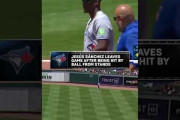 少年ファンが投げたボールで投手が負傷してMLBファン騒然！←「不運だが馬鹿げている」（海外の反応）