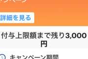 3月末までAKB48劇場がpaypayで10%還元