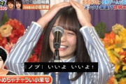 【日向坂46】小坂菜緒、恐ろしくハードな現場に放り込まれる…【ぐるナイ】