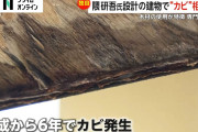 日本を代表する建築家【隈研吾】さんの設計した市庁舎がたった6年でカビる異常事態！！！！！