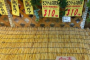 【埼玉】春日部市で「そこらへんの草」を使った商品が大ヒット…連日売り切れで早くもご当地グルメに