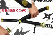 『忍者』のイメージ、何故か二刀流