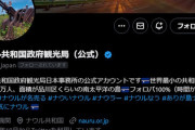 【悲報】ナウル共和国「日本の外務省は何もしないことで有名」→謝罪へ…