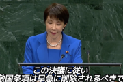 【日中友好()】中国、高市総理の旧敵国条項“削除”要求に反発「ファシズムや軍国主義が再び脅威となることを防ぐためにあるアル！」※なお95年に『賛成』