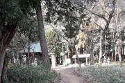 【画像】地元民にすら知られてない森の中にひっそり建ってる神社行ってきたんやが