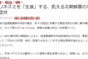 【ワロタ】金正恩「ハリネズミの様に武装せよ！」実際には軍は食糧難で生のハリネズミを食べ回虫流行