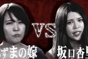 【朗報】へずまの嫁 VS 坂口杏里、ブレイキングダウンで激突