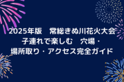 【史上最多2万発】常総きぬ川花火大会がヤバすぎる！2025年秋、鬼怒川が燃える夜