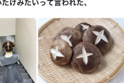【朗報】AKB小栗有以ﾁｬﾝの、しいたけ 万バズwwwwwww