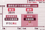【異次元の少子化対策】自民党による扶養控除縮小議論がテレビでも報道され始める　子育て世代激怒し炎上が止まらず総理補佐官からも異議が飛び出す