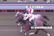 【函館スプリントＳ】2番人気カピリナがハナ差レコードＶ！ナムラクレアは出遅れて着外