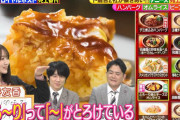 アイドル界のとろ～り卵とチーズのオムライス櫻坂46菅井友香、約2ヶ月放送延期となった「林修のニッポンドリル」2時間SPに登場