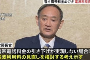 菅総理が携帯料金値下げって言ってるけど言うほど高いか？
