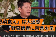 【悲報】堀江貴文さん、未だに野菜コメントを憎んでいたｗｗｗｗｗ