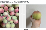 【悲報】メルカリで謎の桃が出品されてしまう............