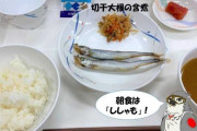 自衛官冷遇の衝撃実態、ししゃも２尾の「横田飯」　ネットでは「病院食ですか？」の声　岸田首相は心が痛まないのか　小笠原理恵氏