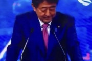 【悲報】プーチン、安倍首相の愛の告白を受けてギャグ漫画みたいな顔になってしまう