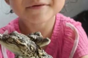 タイで4歳の少女がワニの赤ちゃんと戯れる様子が拡散 → 「親はなにをしてるんだ！？」と炎上する