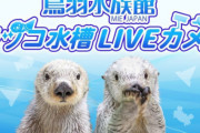 【悲報】鳥羽水族館のラッコ24時間生配信、飼育員に対するカスハラがひどいため映り込む飼育員をモザイク処理すると発表